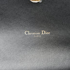 Supple Calfskin Caro Belt Bag Black