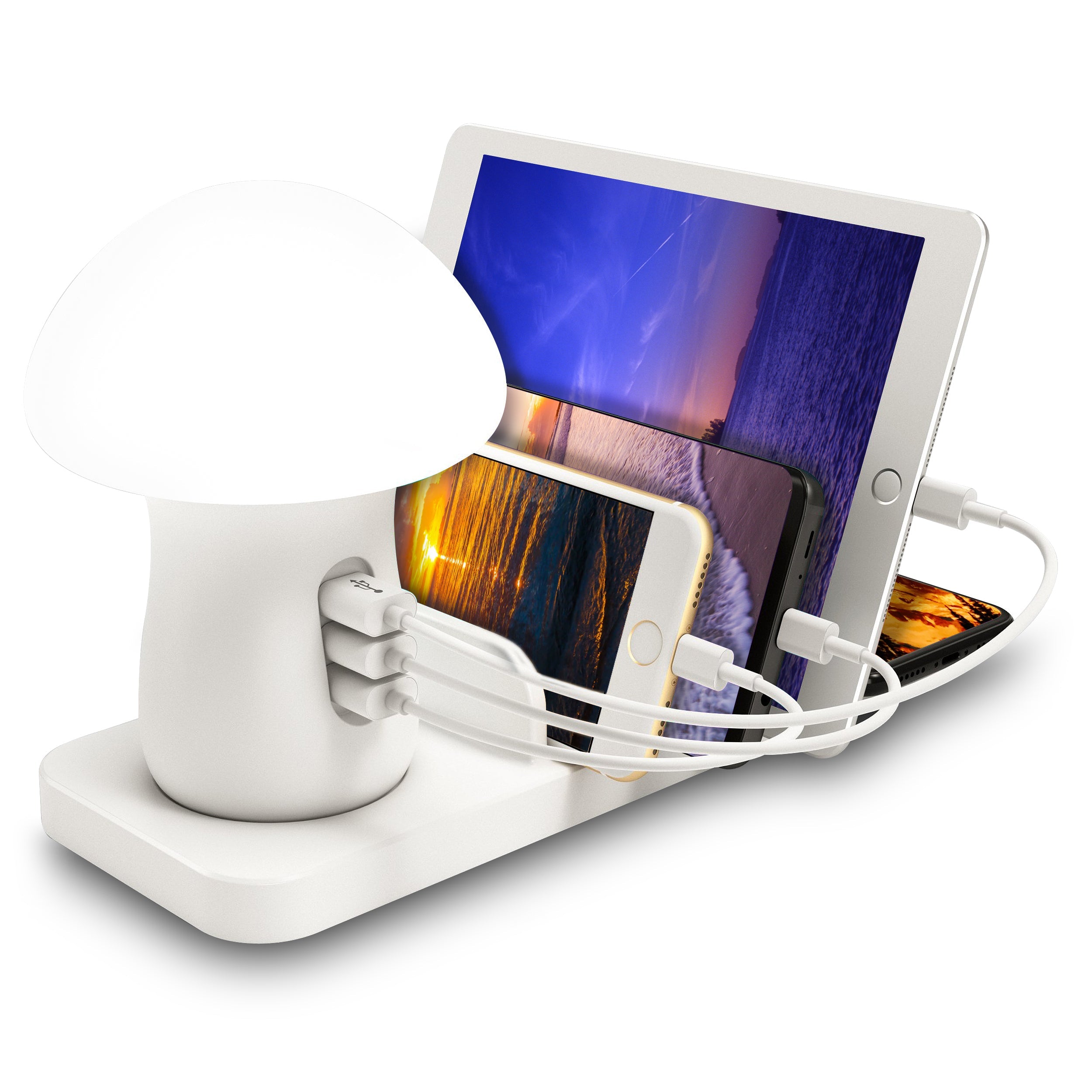 3-in-1 Desk Organizer with Wireless Charging Station and Reading Light