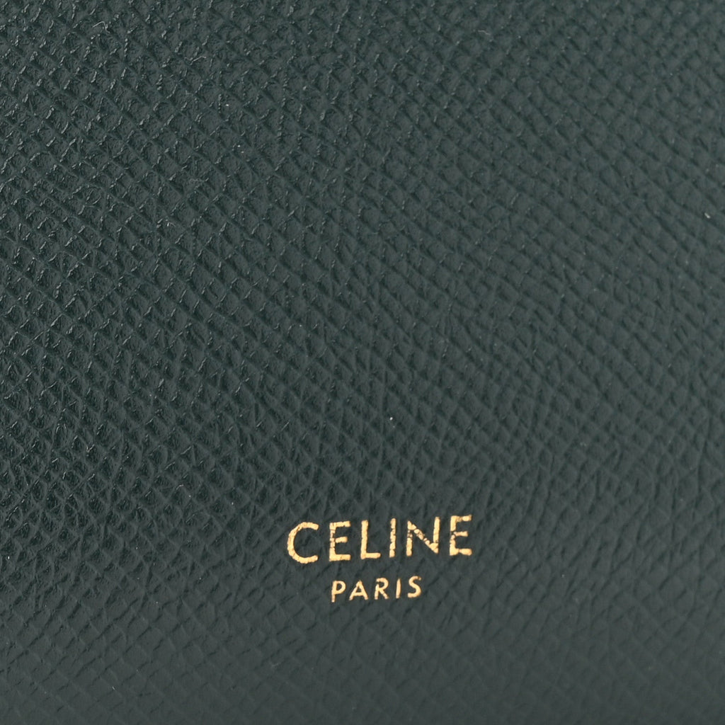 Grained Calfskin Nano Belt Bag Amazone