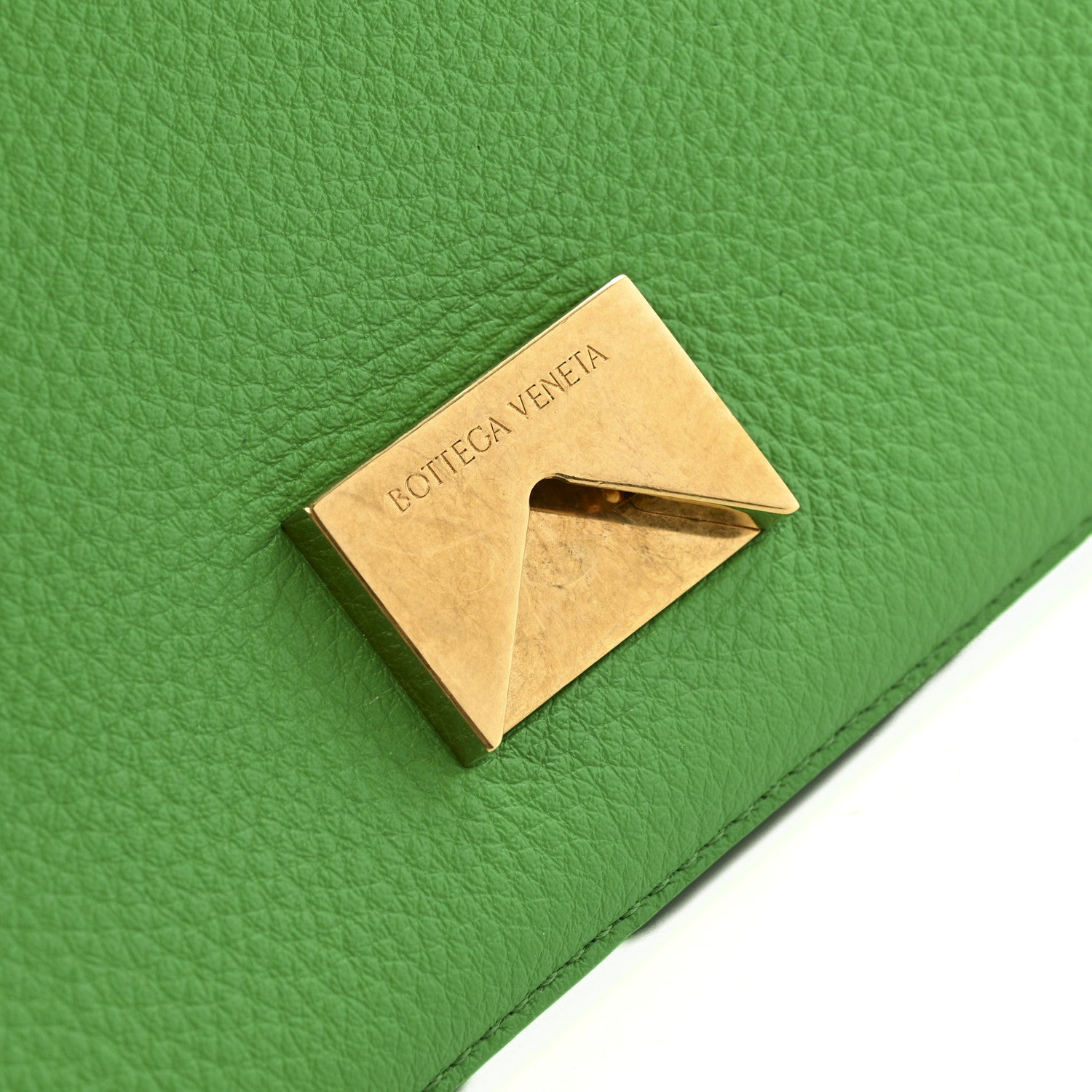 Calfskin Mount Envelope Bag Parakeet