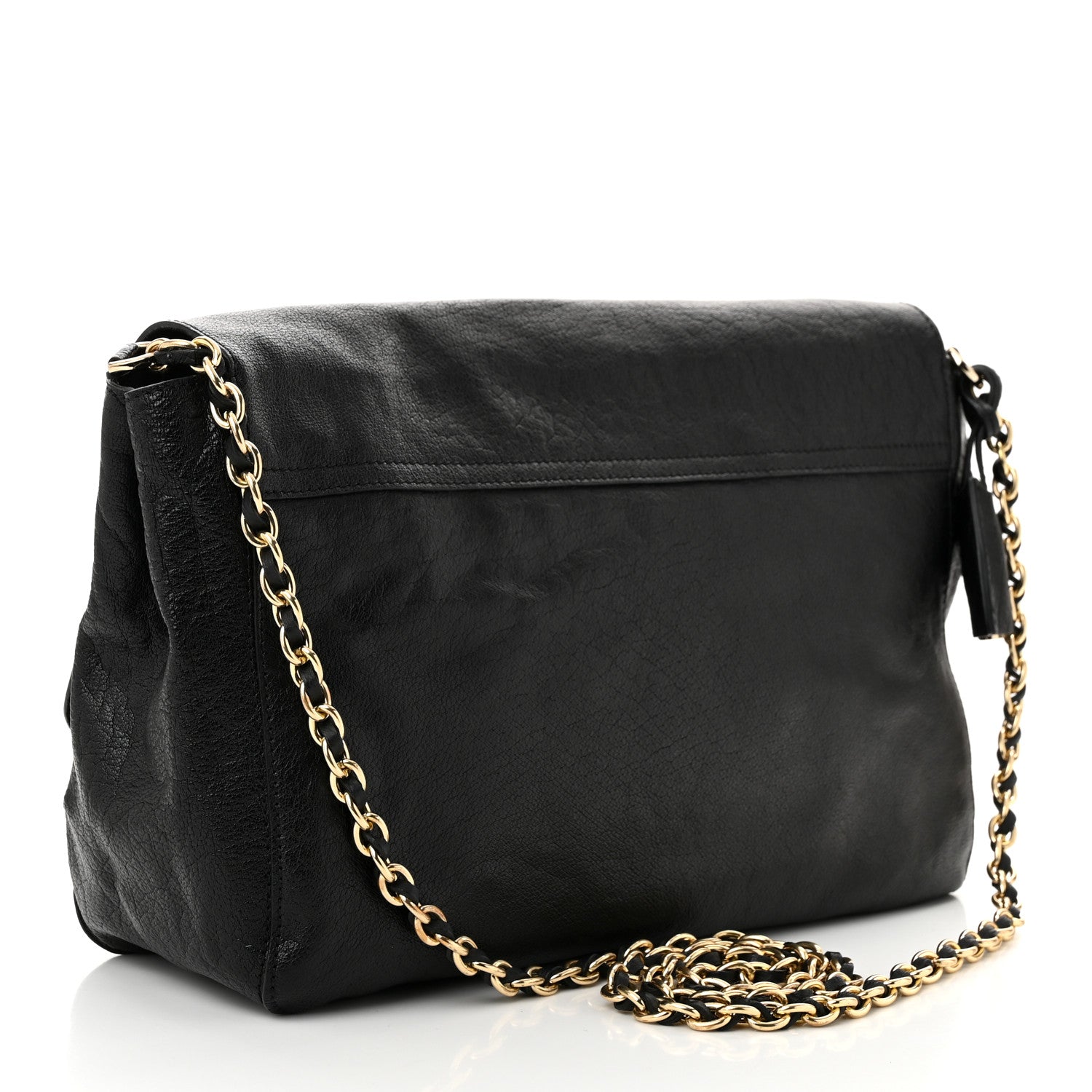 Shiny Buffalo Lily Black