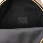Monogram Palm Springs Backpack Mini