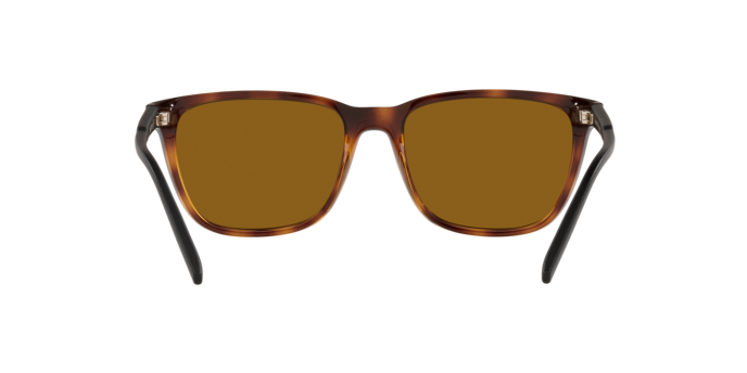 Arnette 0AN4291 CORTEX