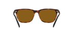 Arnette 0AN4291 CORTEX