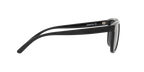 Arnette 0AN4321 LEBOWL