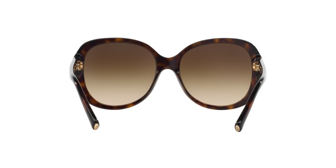Giorgio Armani 0AR8047