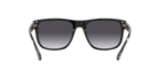 Emporio Armani 0EA4163