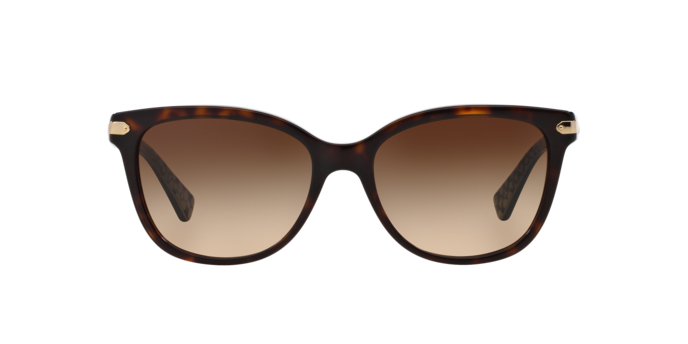 Coach 0HC8132 L109