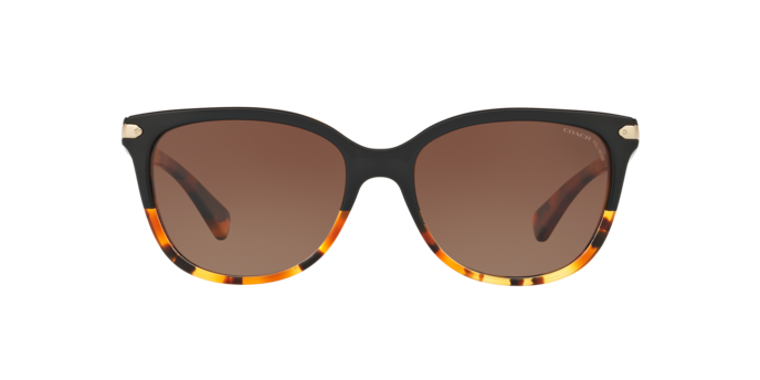 Coach 0HC8132 L109