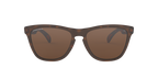 Oakley 0OO9013 FROGSKINS