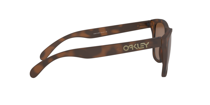Oakley 0OO9013 FROGSKINS