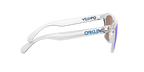 Oakley 0OO9013 FROGSKINS