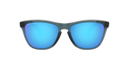 Oakley 0OO9013 FROGSKINS