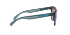 Oakley 0OO9013 FROGSKINS