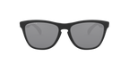 Oakley 0OO9013 FROGSKINS