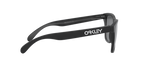 Oakley 0OO9013 FROGSKINS
