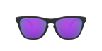 Oakley 0OO9013 FROGSKINS
