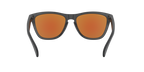 Oakley 0OO9013 FROGSKINS