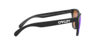 Oakley 0OO9013 FROGSKINS