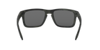 Oakley 0OO9102 HOLBROOK