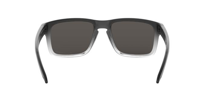 Oakley 0OO9102 HOLBROOK