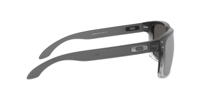 Oakley 0OO9102 HOLBROOK