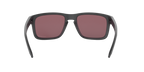 Oakley 0OO9102 HOLBROOK