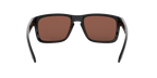Oakley 0OO9102 HOLBROOK
