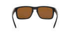 Oakley 0OO9102 HOLBROOK