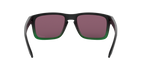 Oakley 0OO9102 HOLBROOK