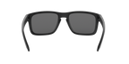 Oakley 0OO9102 HOLBROOK
