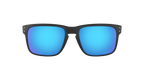 Oakley 0OO9102 HOLBROOK