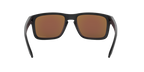 Oakley 0OO9102 HOLBROOK