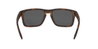 Oakley 0OO9102 HOLBROOK