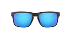 Oakley 0OO9102 HOLBROOK