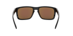 Oakley 0OO9102 HOLBROOK