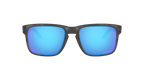 Oakley 0OO9102 HOLBROOK