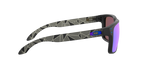 Oakley 0OO9102 HOLBROOK