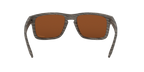 Oakley 0OO9102 HOLBROOK