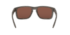 Oakley 0OO9102 HOLBROOK