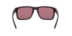 Oakley 0OO9102 HOLBROOK