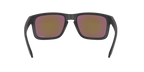 Oakley 0OO9102 HOLBROOK