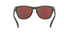 Oakley 0OO9245 FROGSKINS (A)