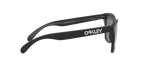Oakley 0OO9245 FROGSKINS (A)