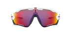 Oakley 0OO9290 JAWBREAKER
