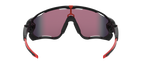 Oakley 0OO9290 JAWBREAKER