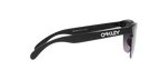 Oakley 0OO9374 FROGSKINS LITE