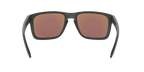 Oakley 0OO9417 HOLBROOK XL