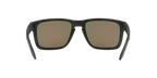 Oakley 0OO9417 HOLBROOK XL