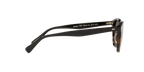 Oliver Peoples 0OV5454SU DESMON SUN